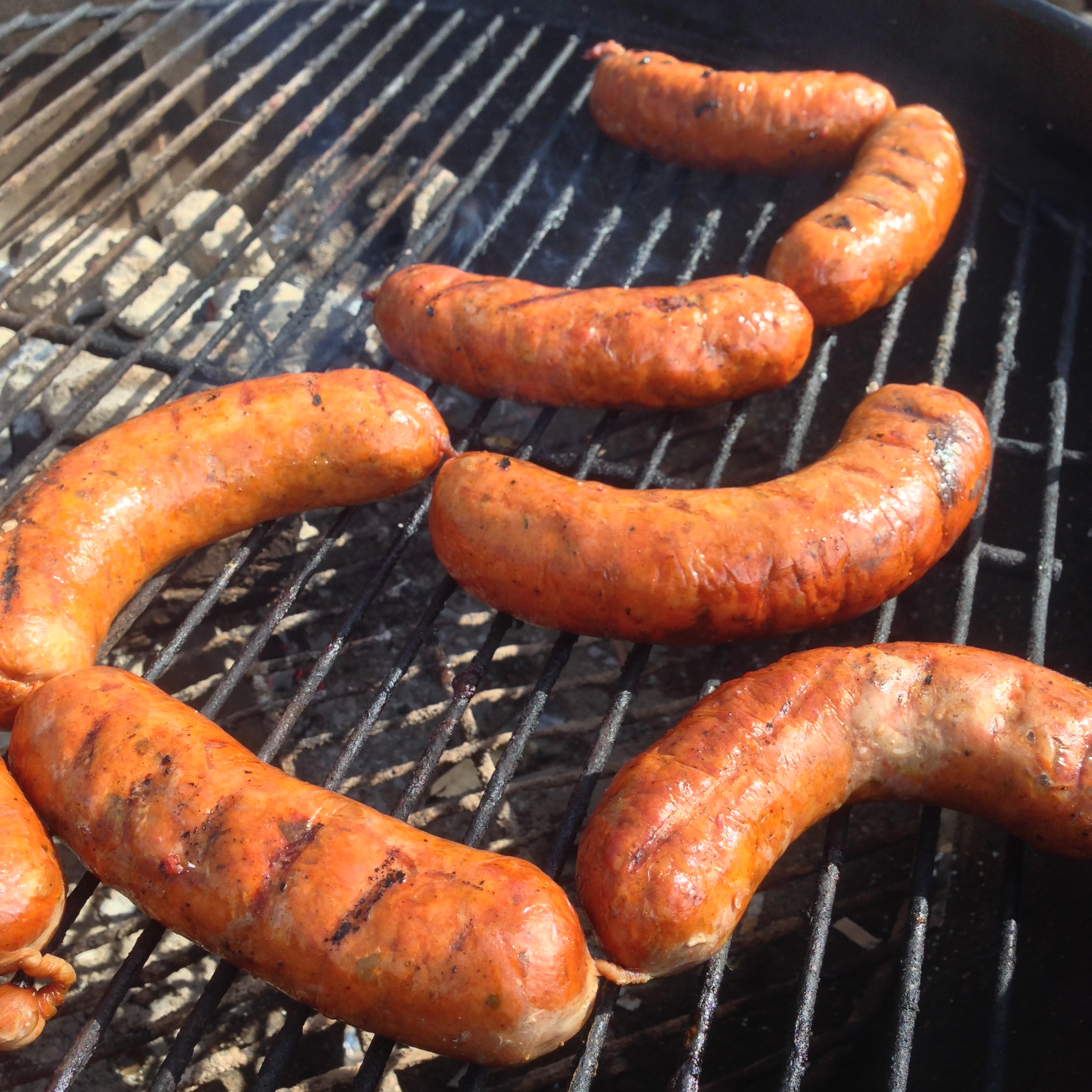 Homemade Smoked Kielbasa  