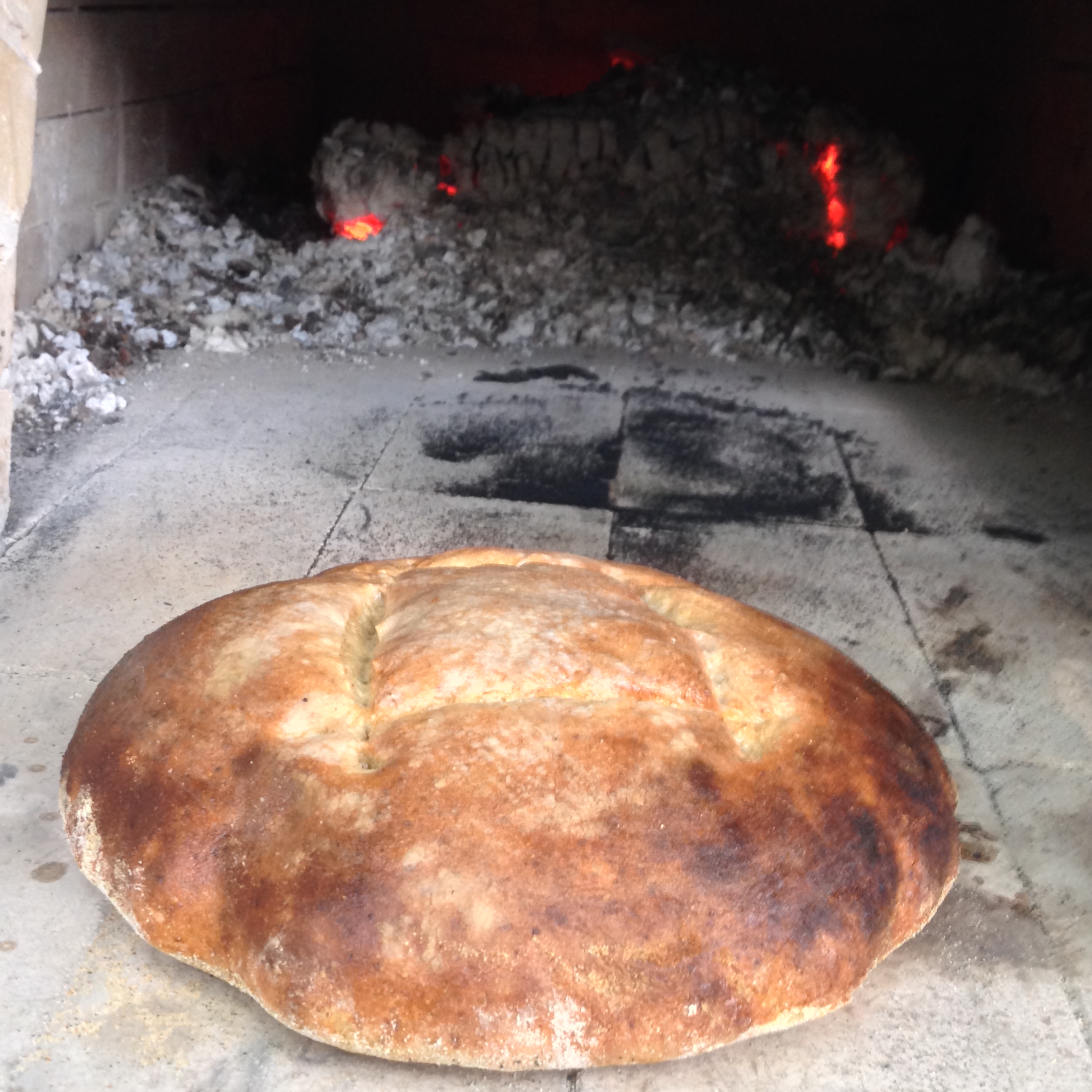 homebaked whole wheat bread made in a Wood Fired Brick Oven