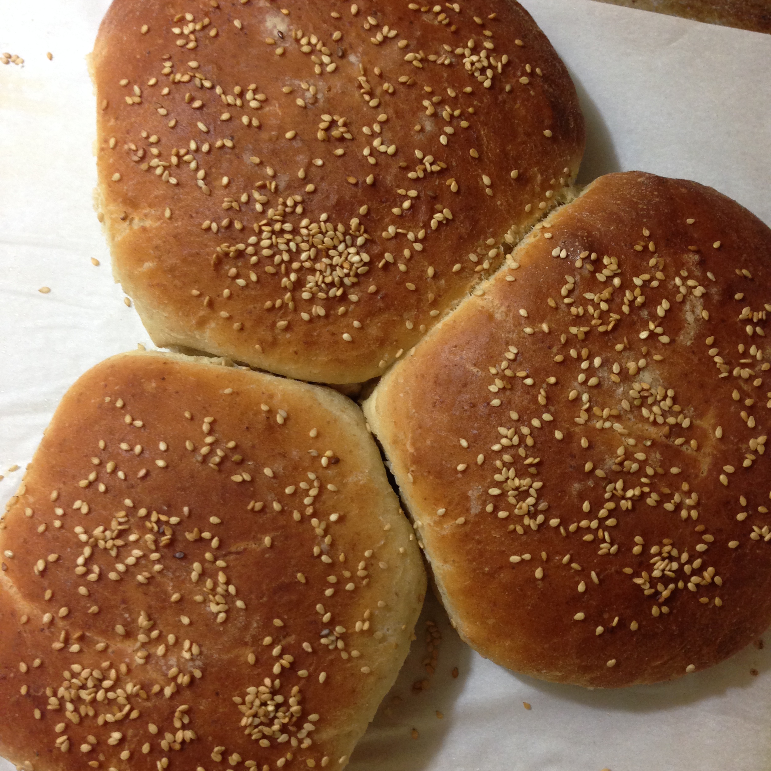 Homemade Hamburger Buns