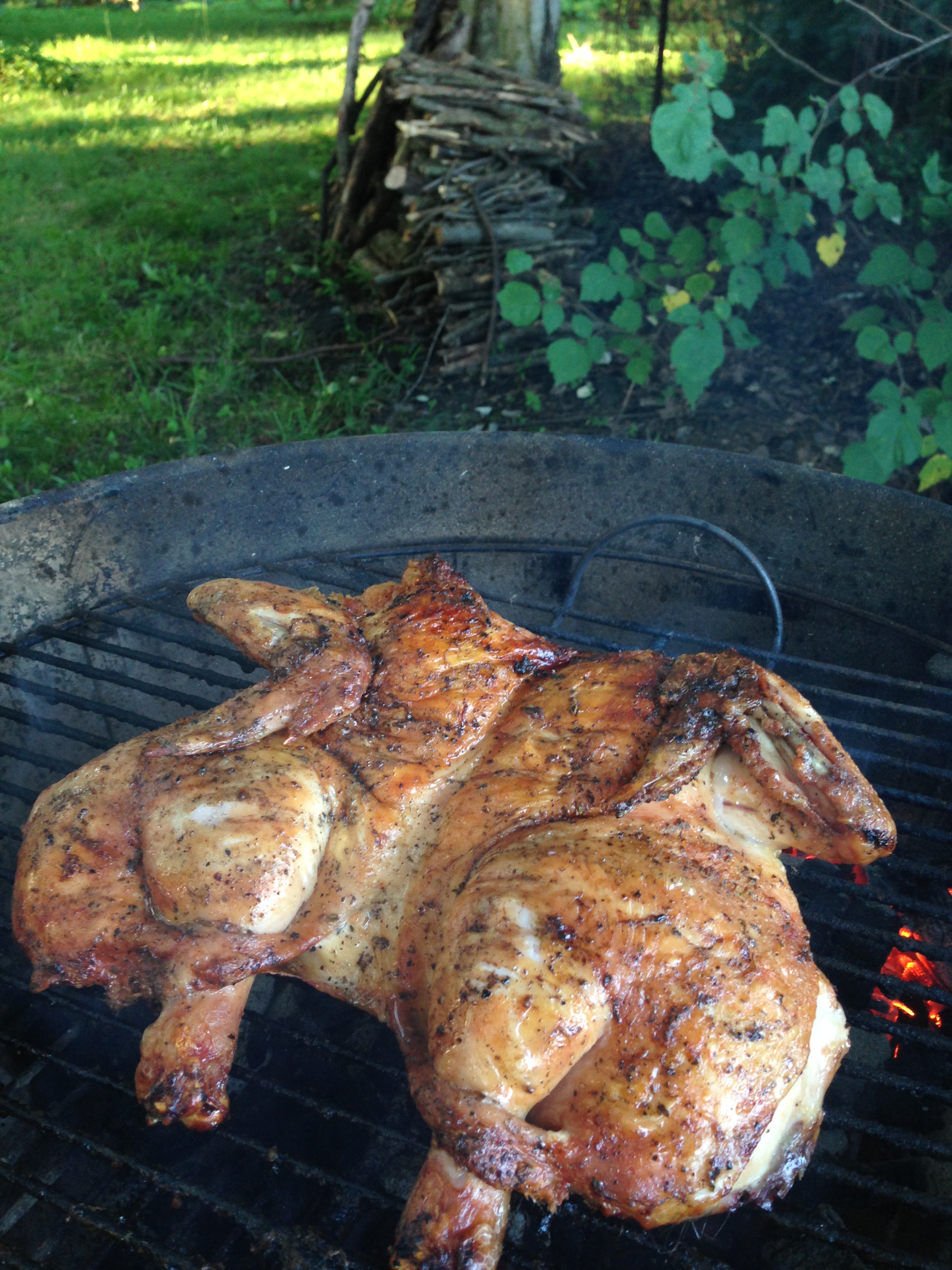 Spatchcocked Chicken on the Grill