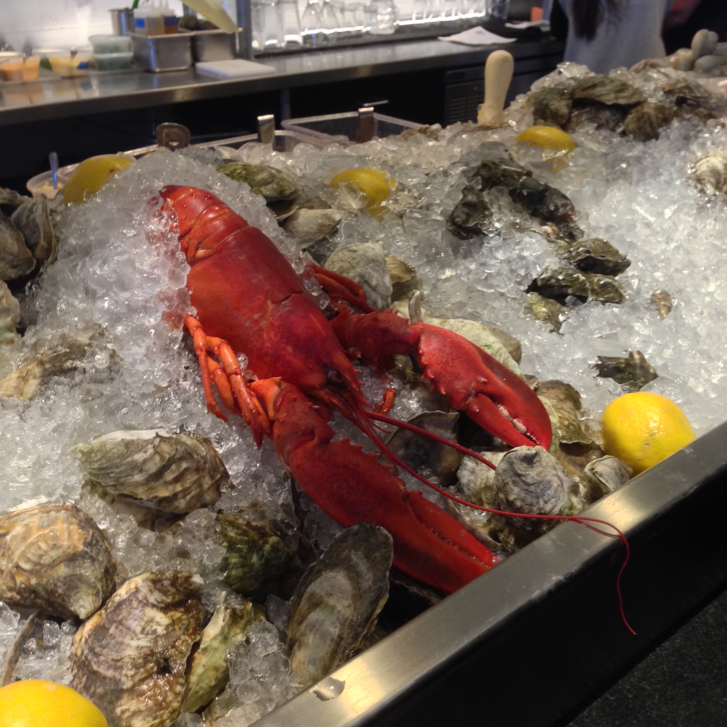 Raw Bar at Row 34