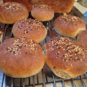 Home Baked Slider Buns